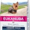 Eukanuba Yorkshire Terrier